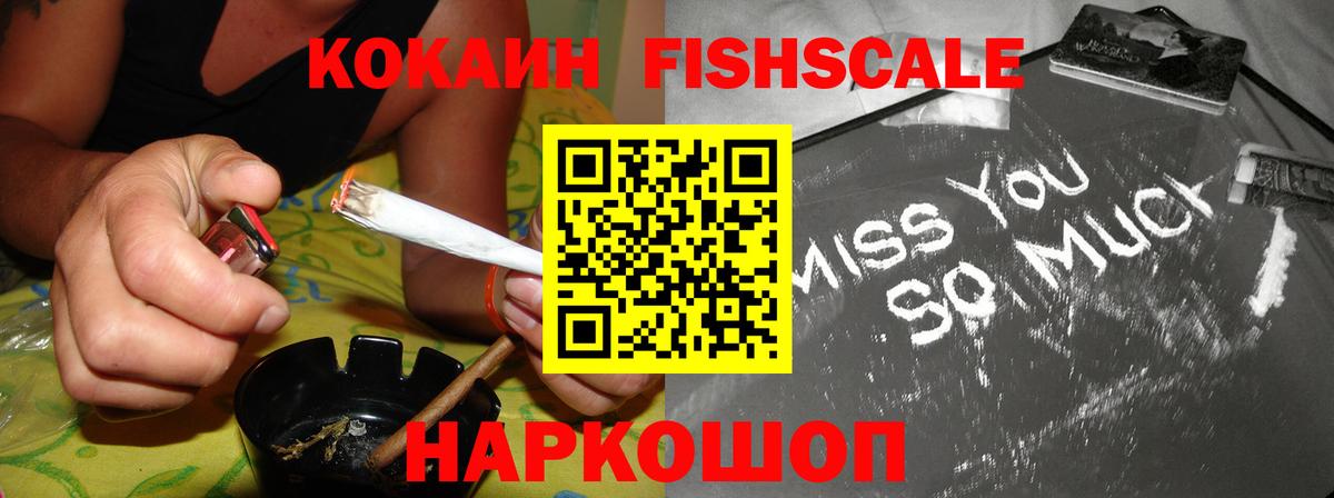 Cocaine Fish Scale  Вход с VPN  Вязники 