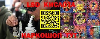 крисы Апшеронск