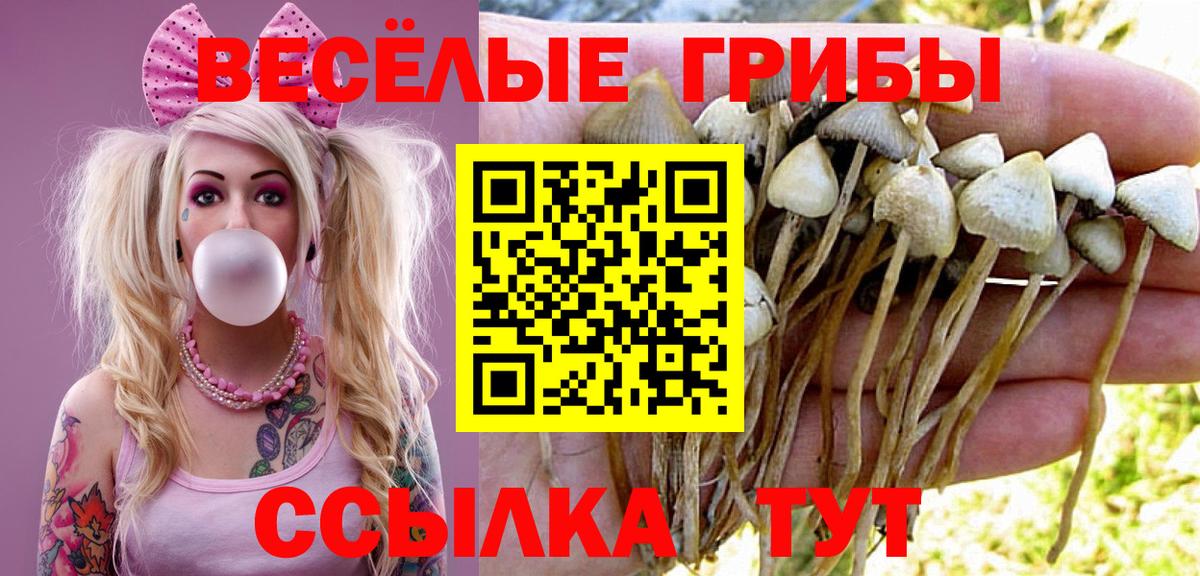 Вязники  дарнет шоп  Вход с VPN  Псилоцибиновые грибы Cubensis 
