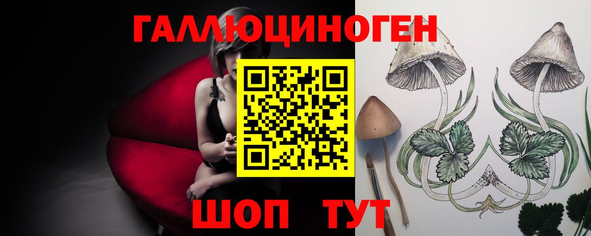 Псилоцибиновые грибы Magic Shrooms Вязники